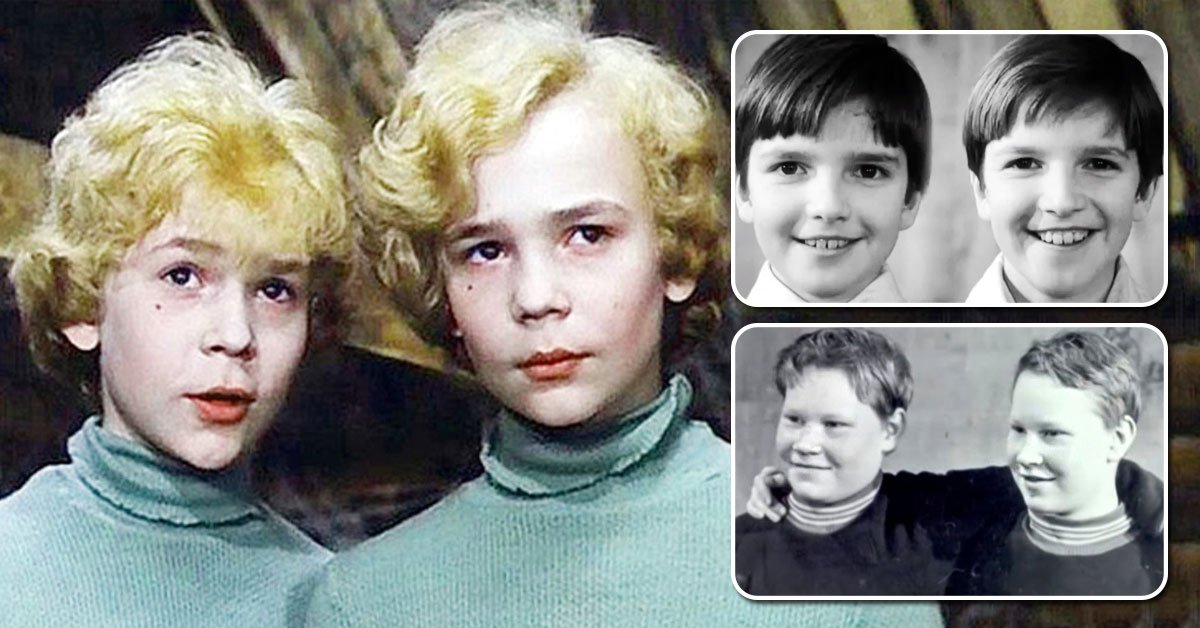 братья торсуевы