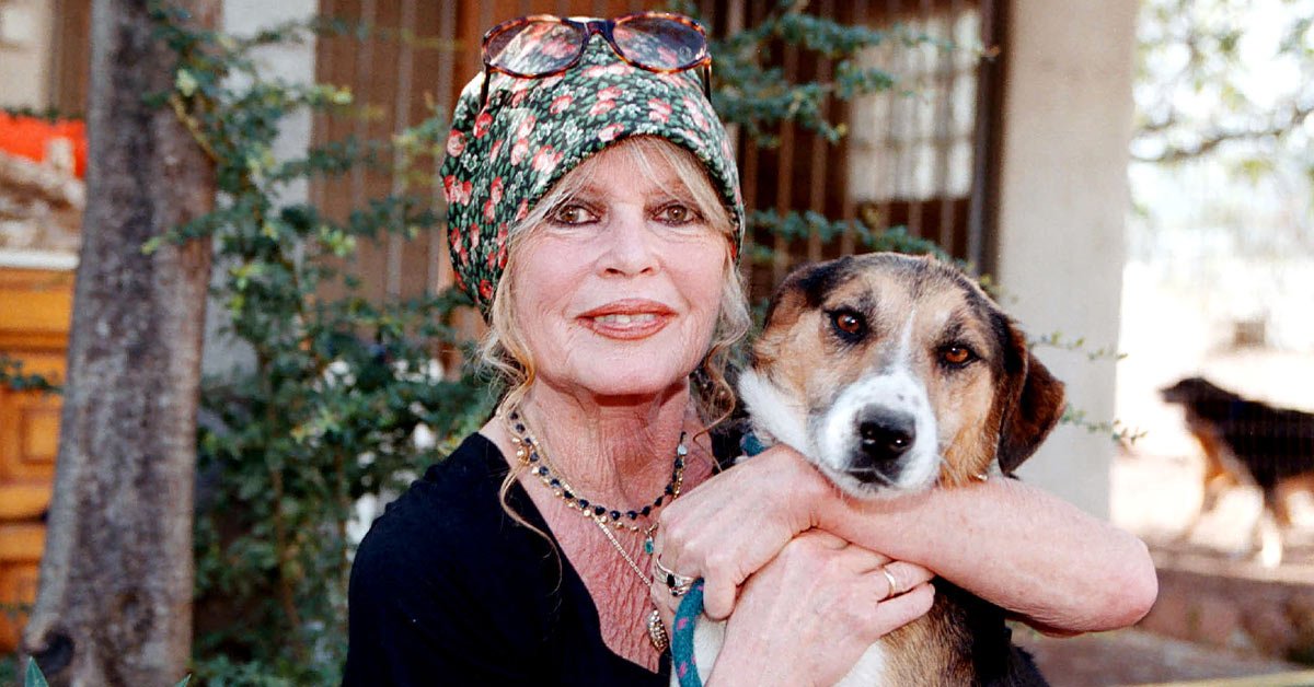 брижит бардо высказалась о возрасте