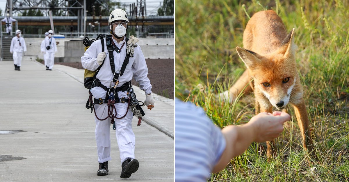 чернобыль сегодня