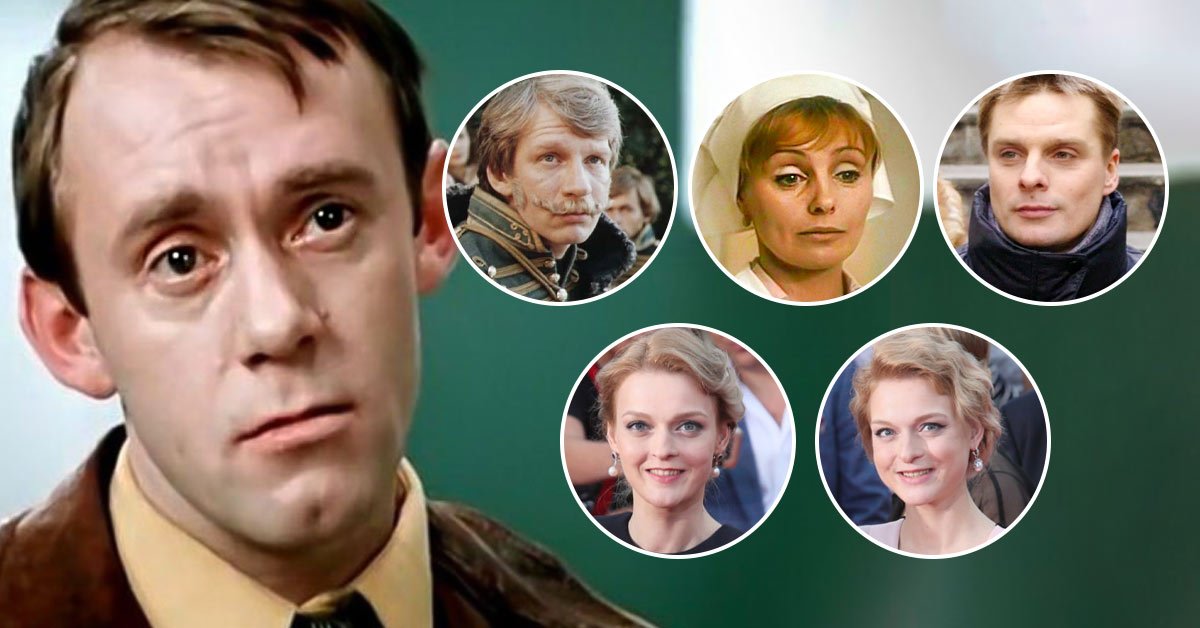 династия носиков