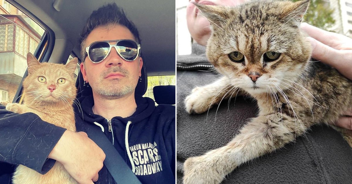 евгений кибец спасает животных