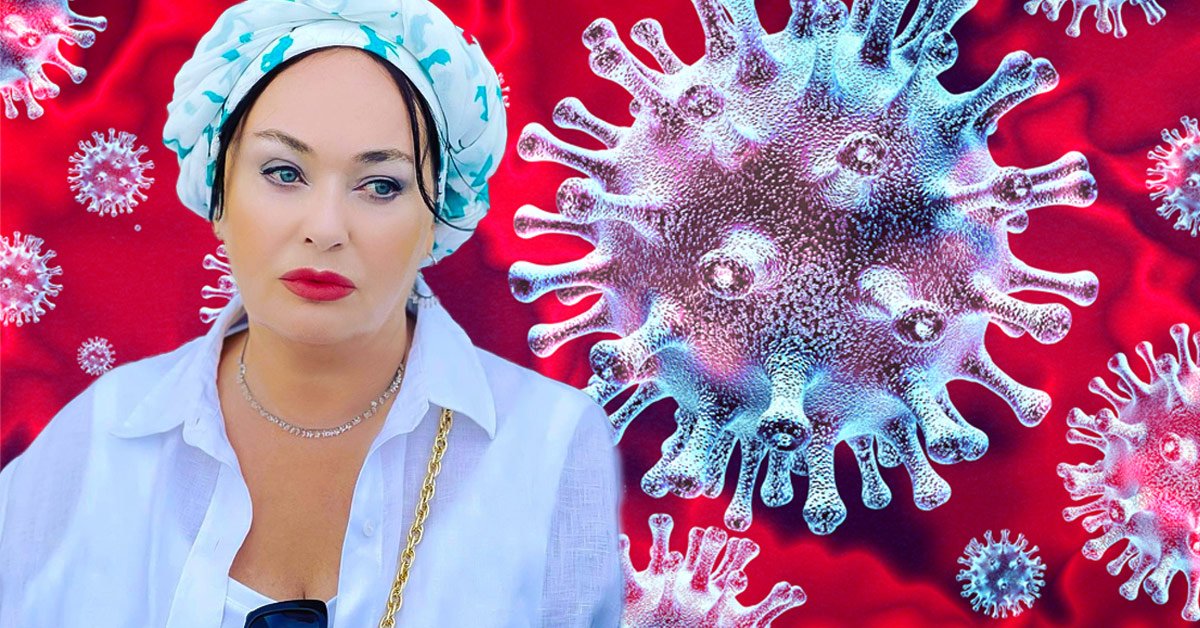 лариса гузеева в больнице