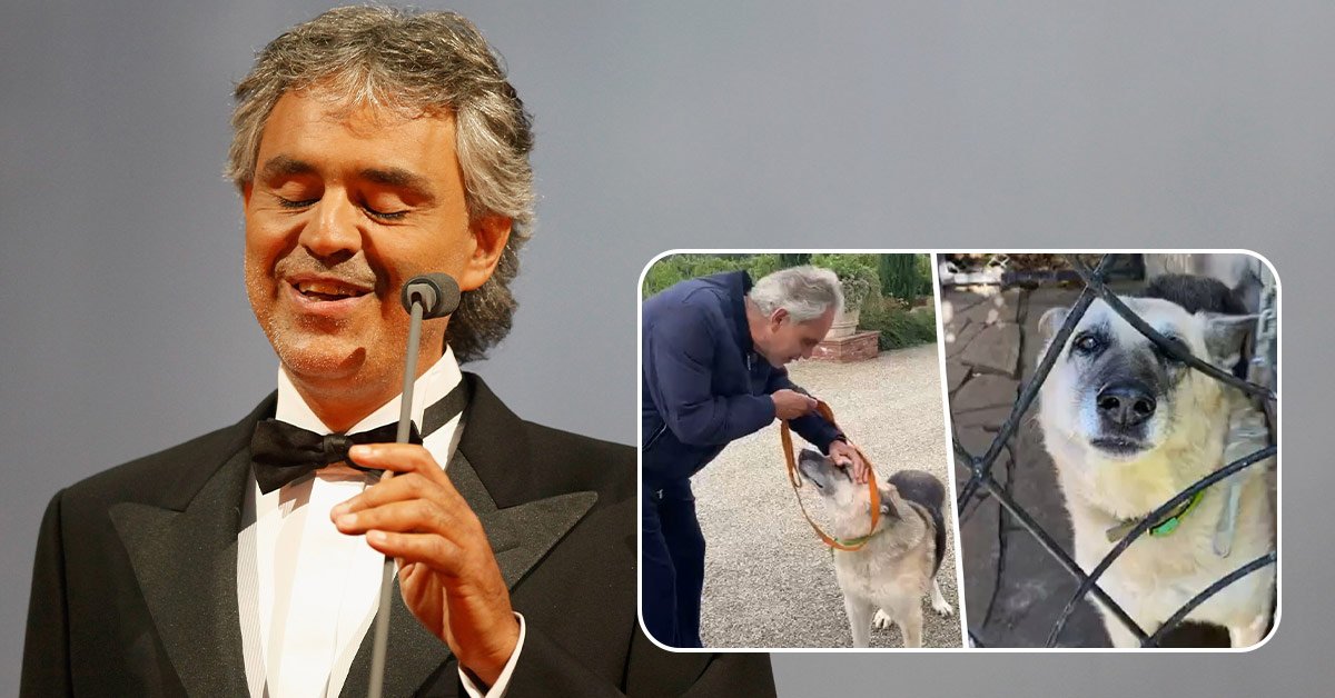 Пес Джек из Купянска