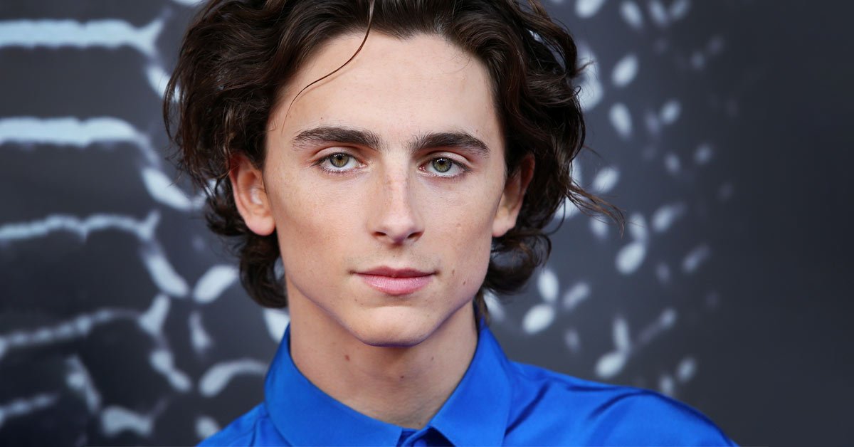 тимоти шаламе