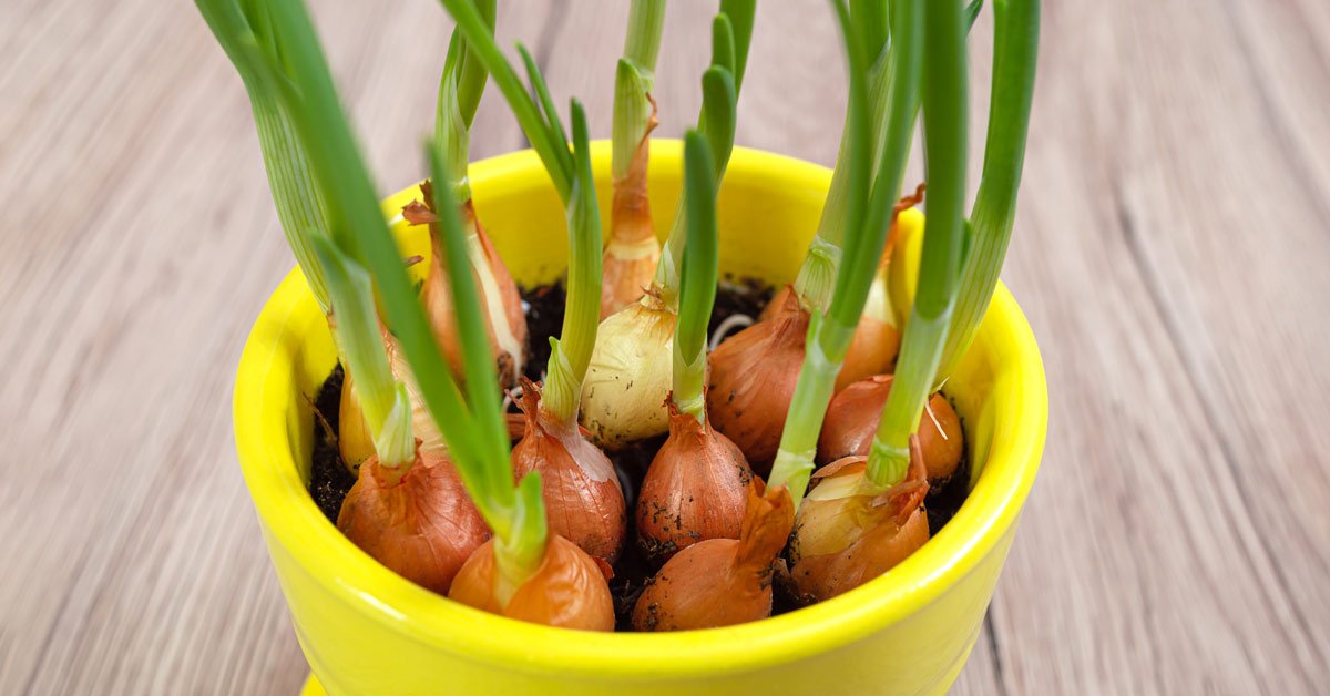 Тренды советского времени