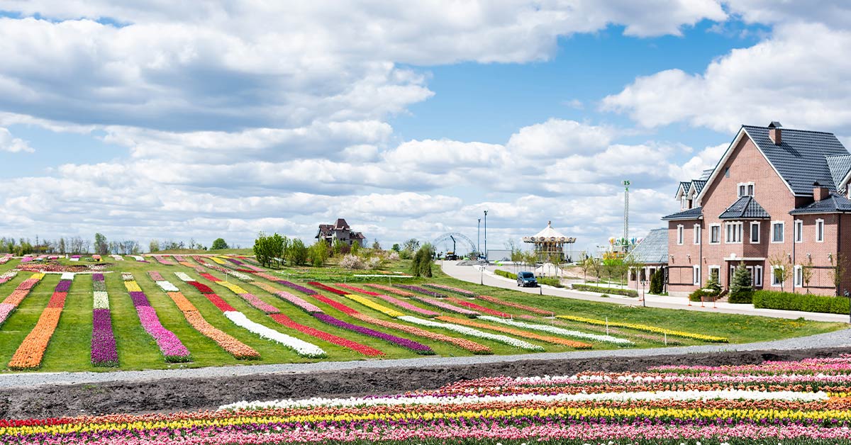 В чём отличие голландцев и русских