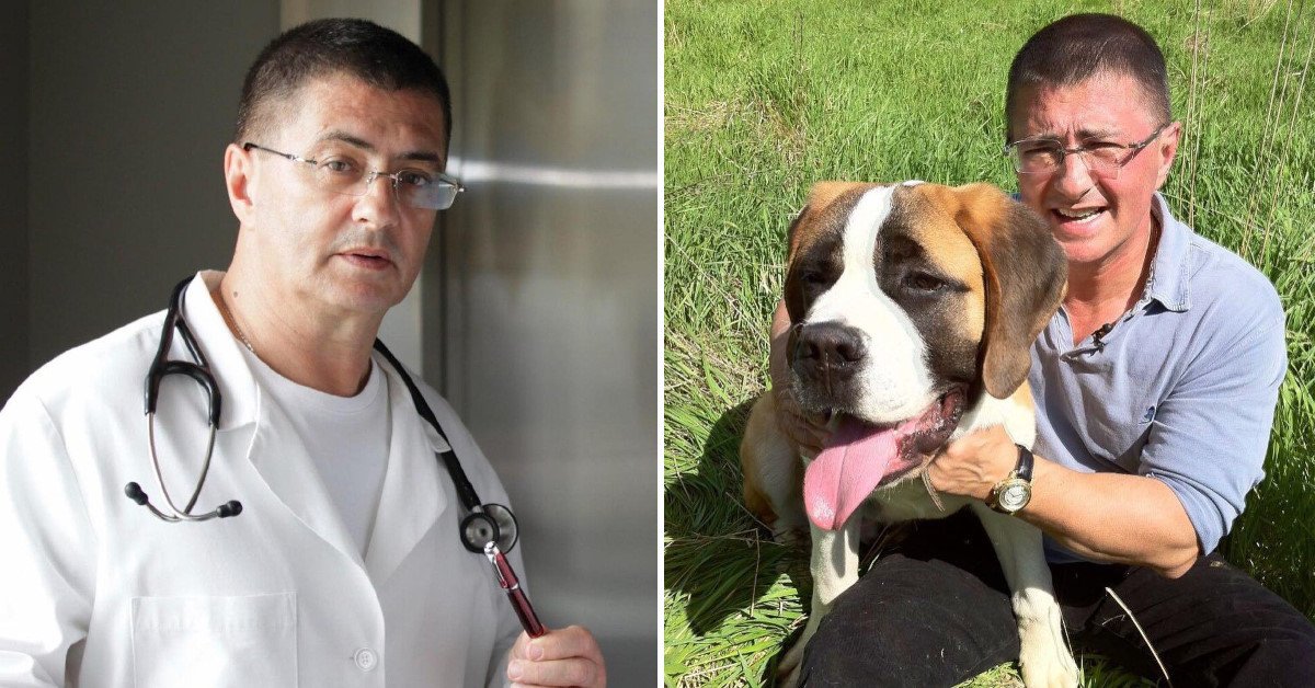 жизнь александра мясникова