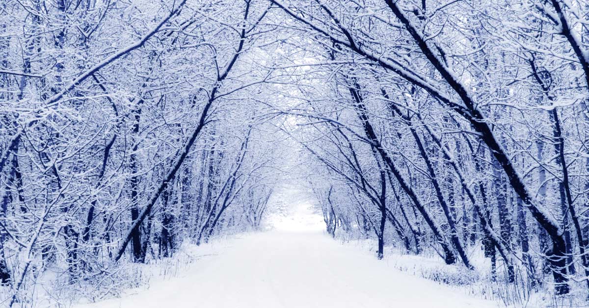 зима в украине